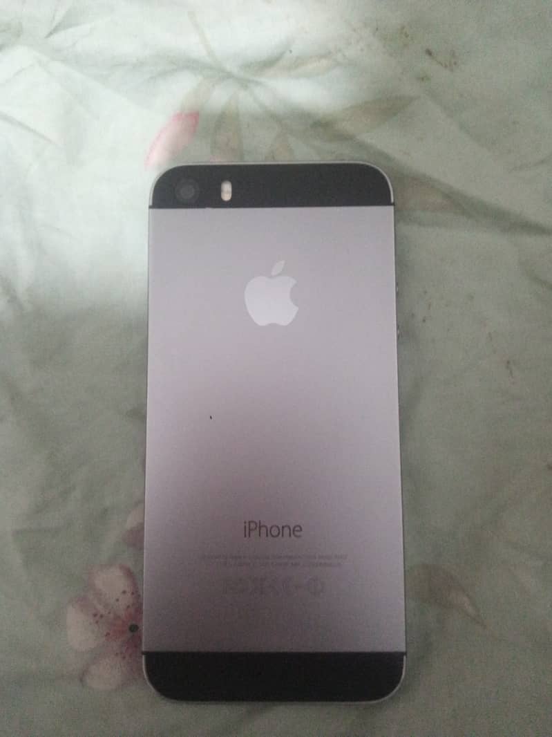 Apple iPhone 5s 1