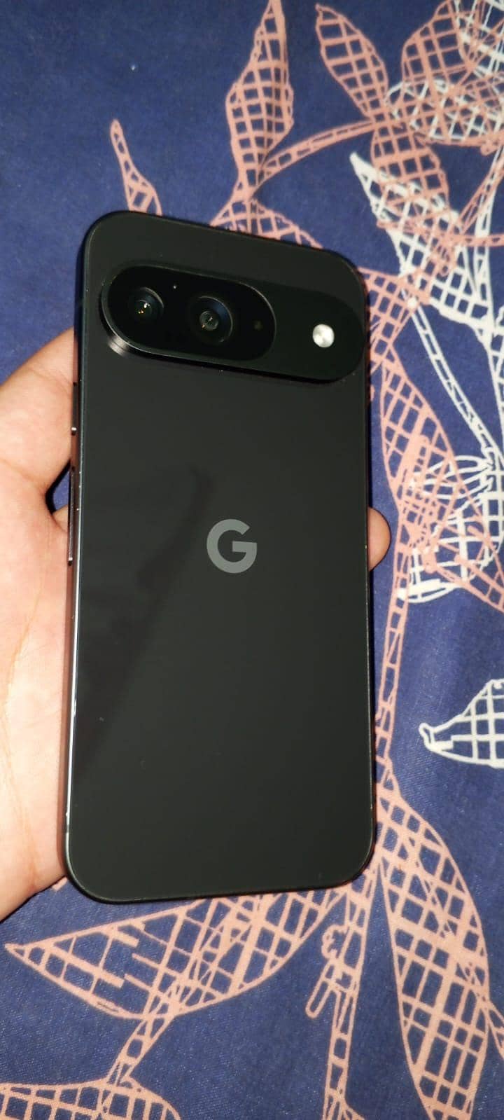 Google Pixel 9 1