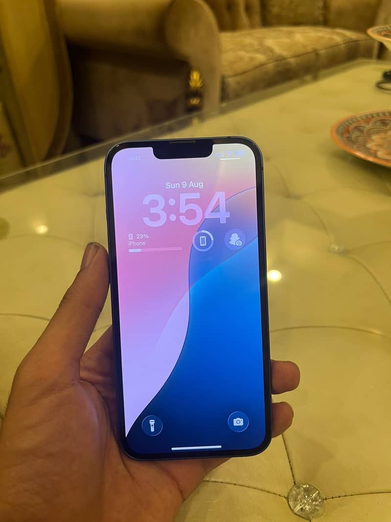 Apple iPhone 13 0
