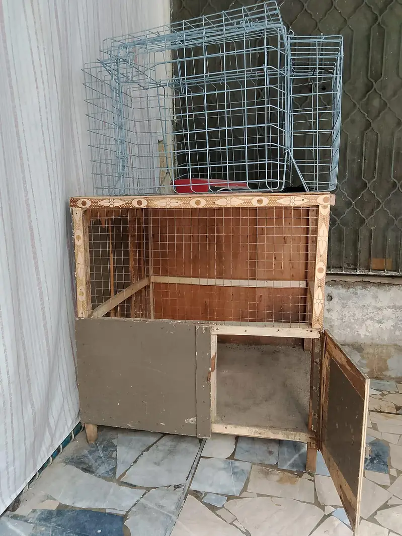 Hen cage — photo 3