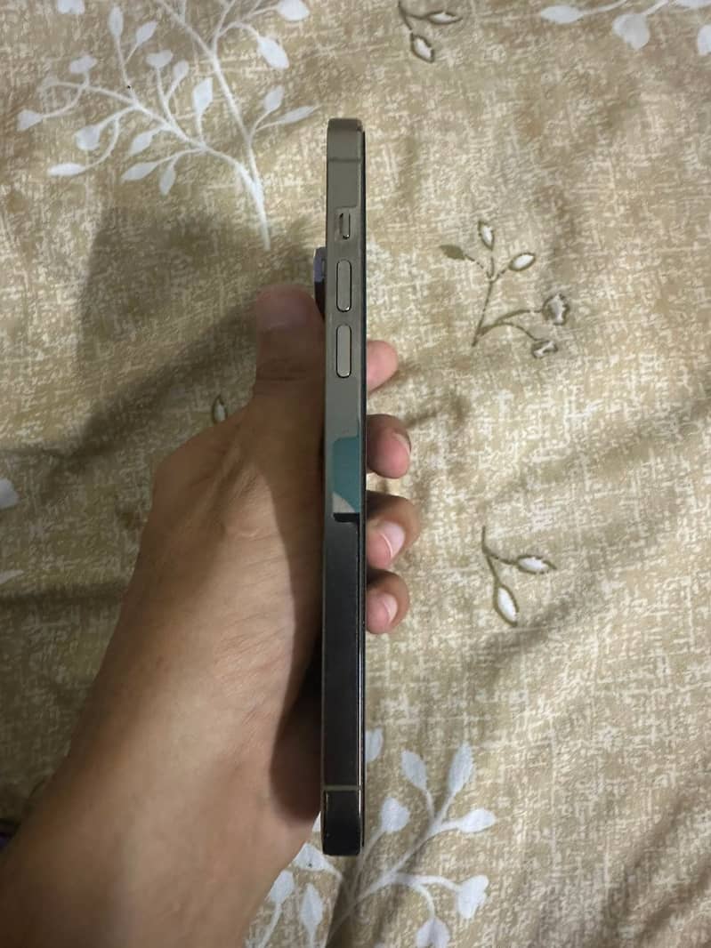 14 pro max 2