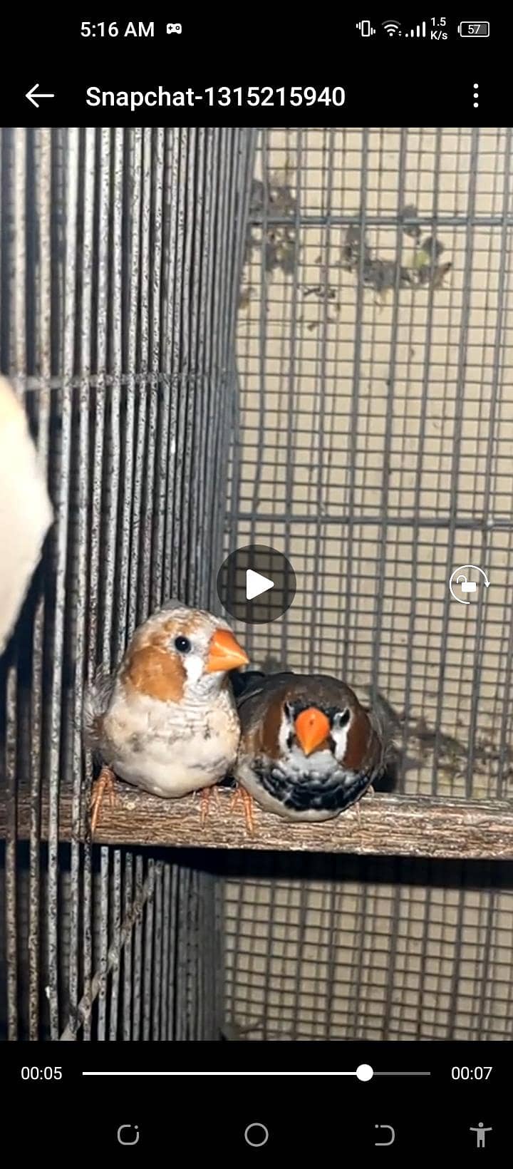 mutation 0