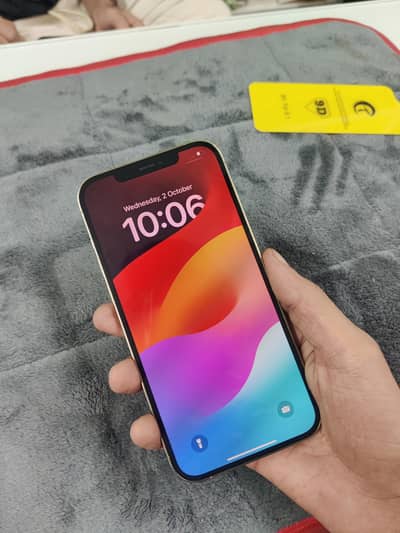Apple iPhone 12 Pro Max
