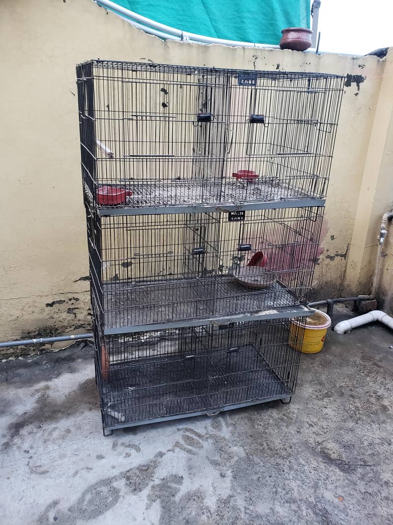6 portion folding cage 1