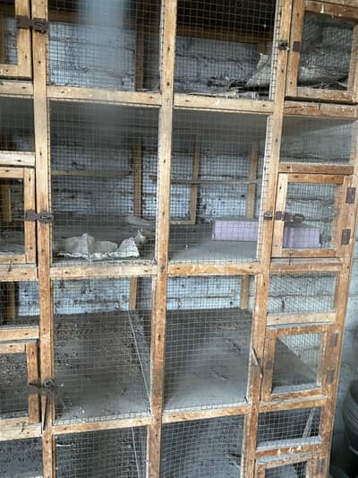 cage Wooden