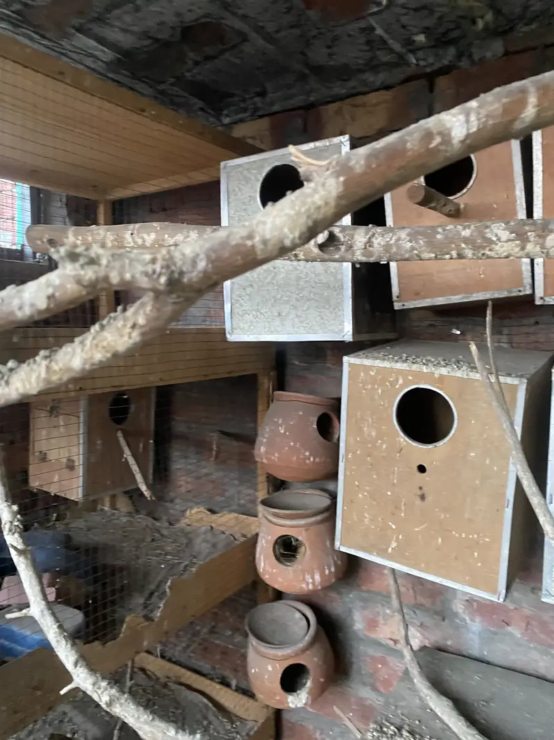 cage Wooden — photo 2