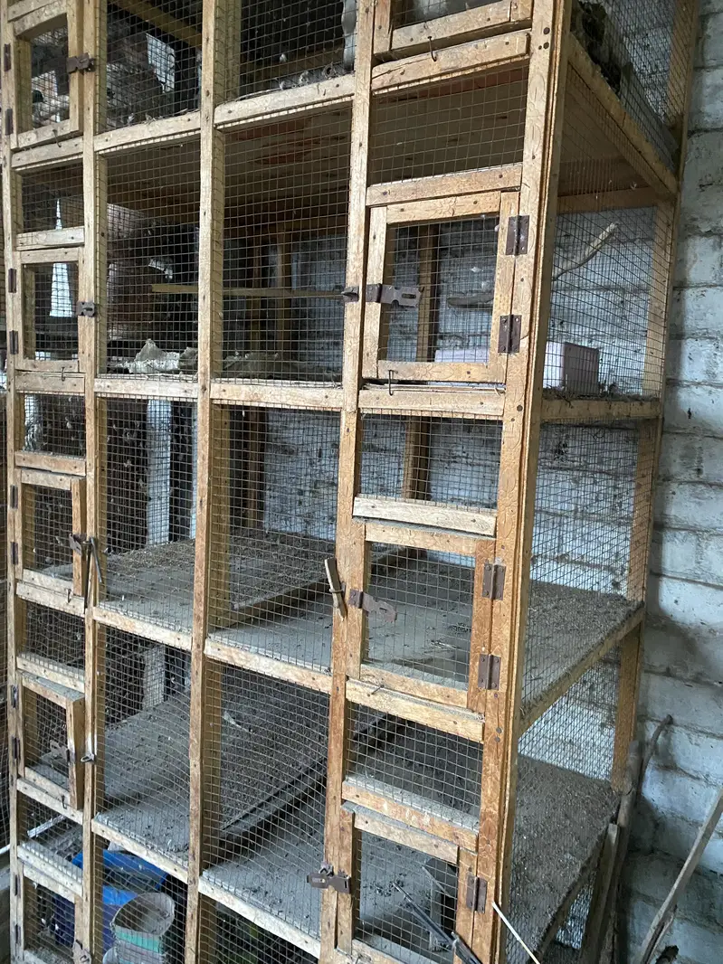 cage Wooden — photo 3