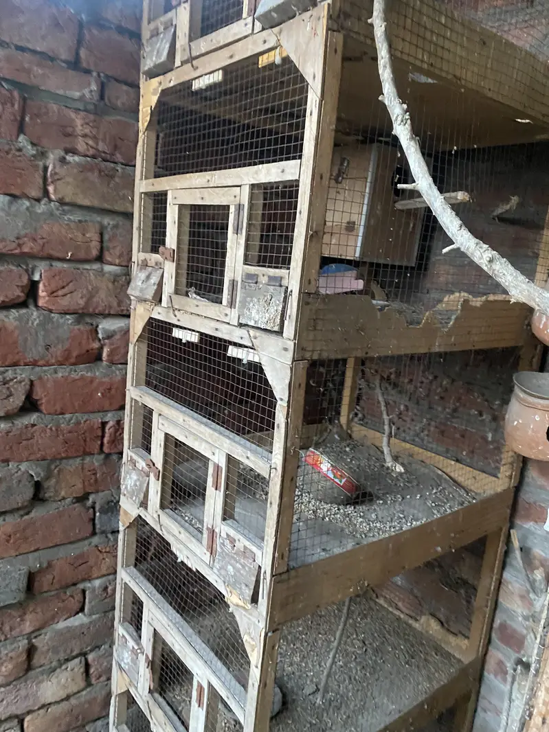 cage Wooden — photo 5