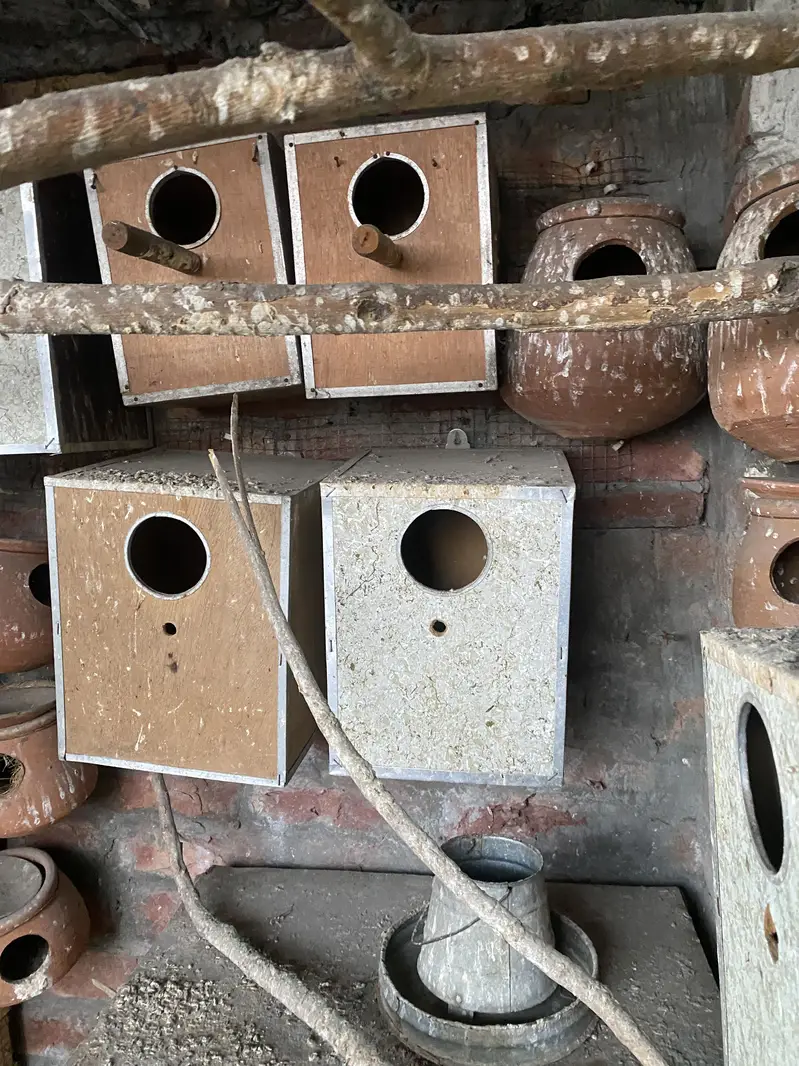 cage Wooden — photo 6