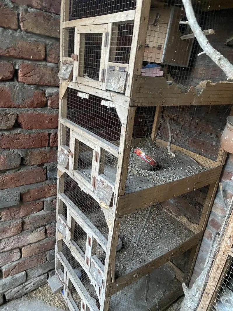 cage Wooden — photo 7