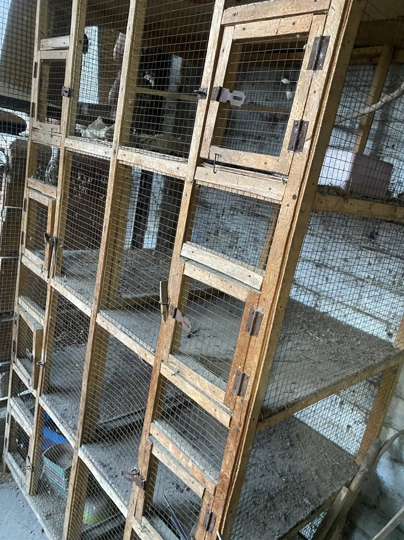 cage Wooden — photo 8