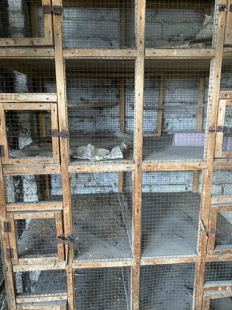 cage Wooden — photo 9