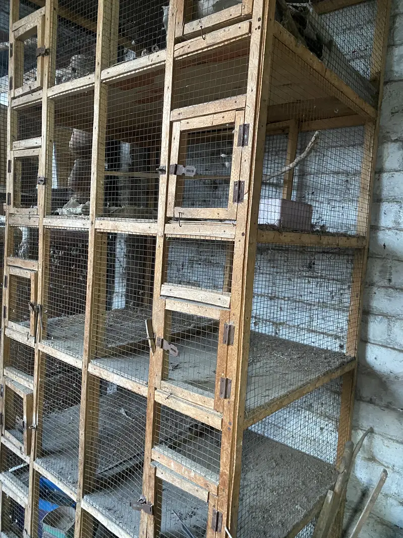cage Wooden — photo 10