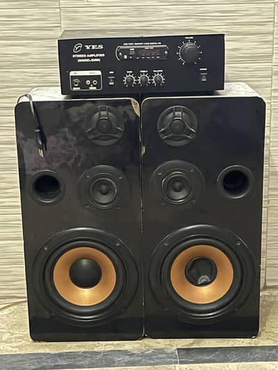 8 inch Hard Bass 3 Way Speakers with Amplifier