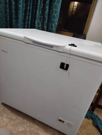 haier single door deep freezer - Almost new condition perfect working