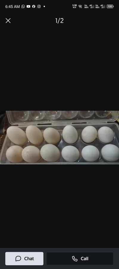 Desi duck egg