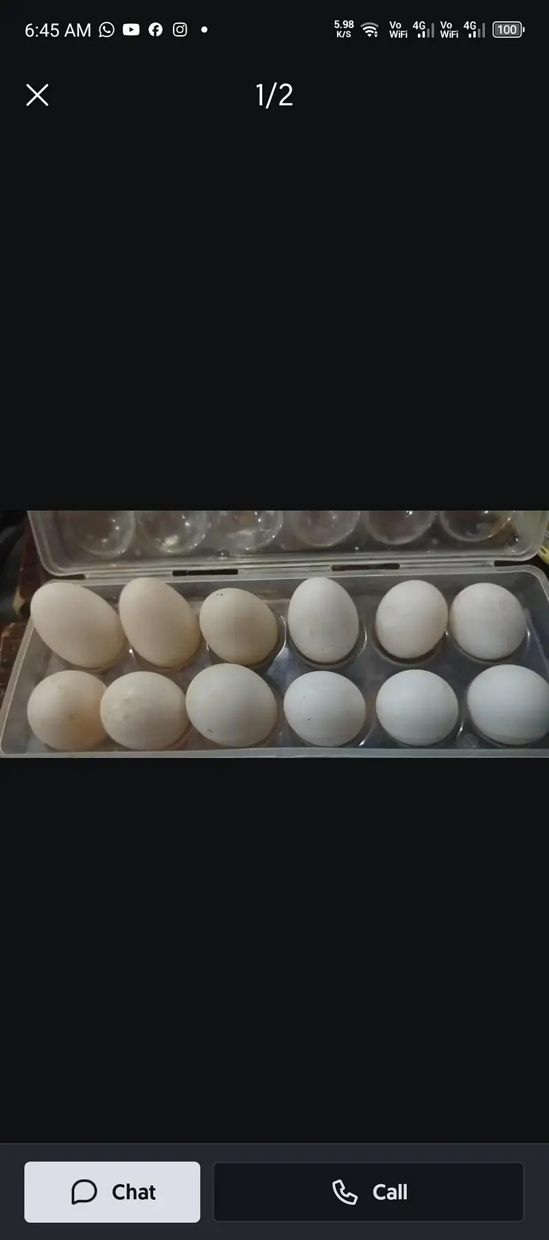 Desi duck egg