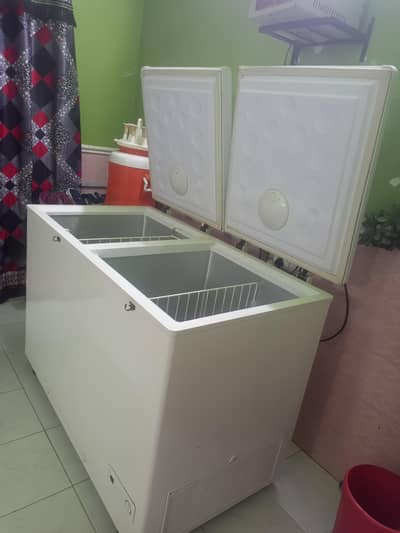 haier deep frezar  dabble door