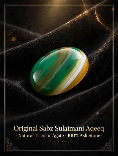 Salmani Aqeeq  0321-3205000