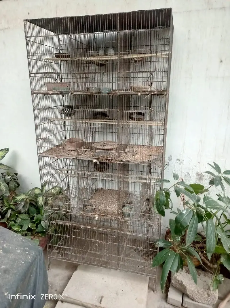 3 piece dove for sell with 12 portion cage — photo 6