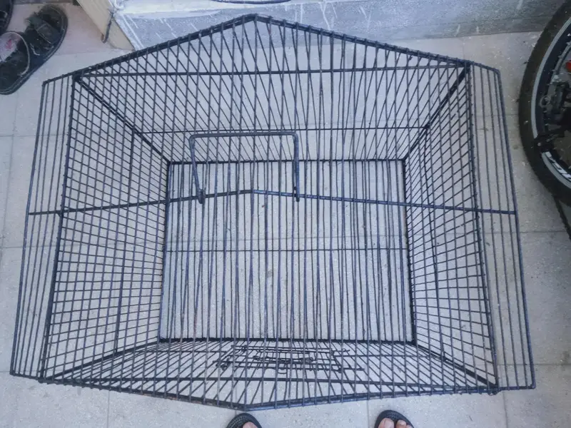 CAGE FOR  RAW PARROT — photo 2