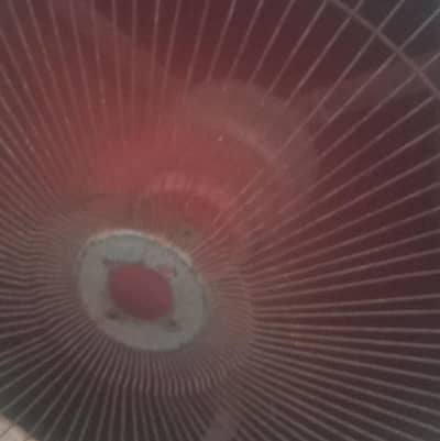 12 volt fan