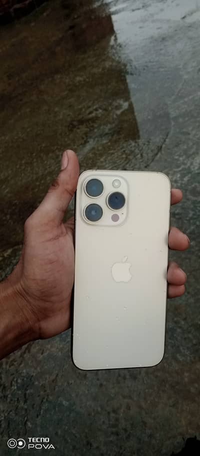 Apple iPhone 14 Pro Max golden