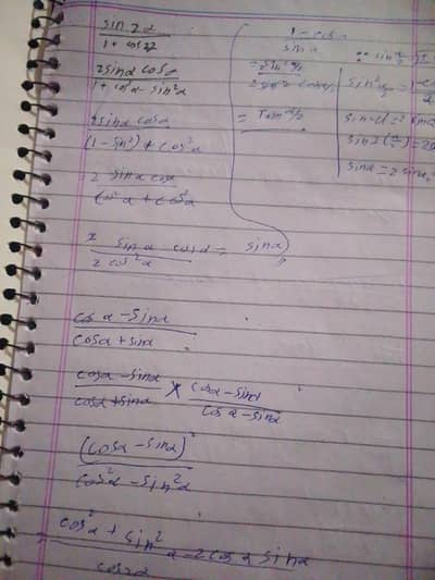 Assiment writing