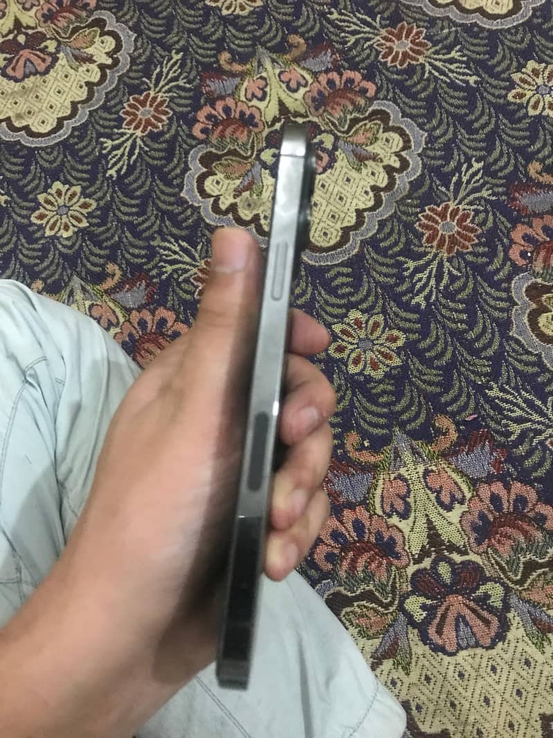 Apple iPhone 13 Pro Max 1