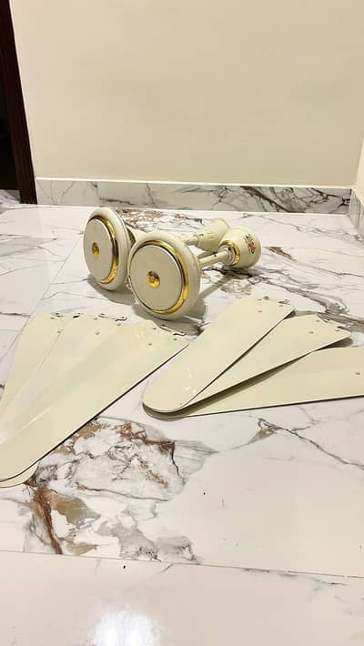 3 Super Asia 56” (1400mm) ceiling fans for sale.