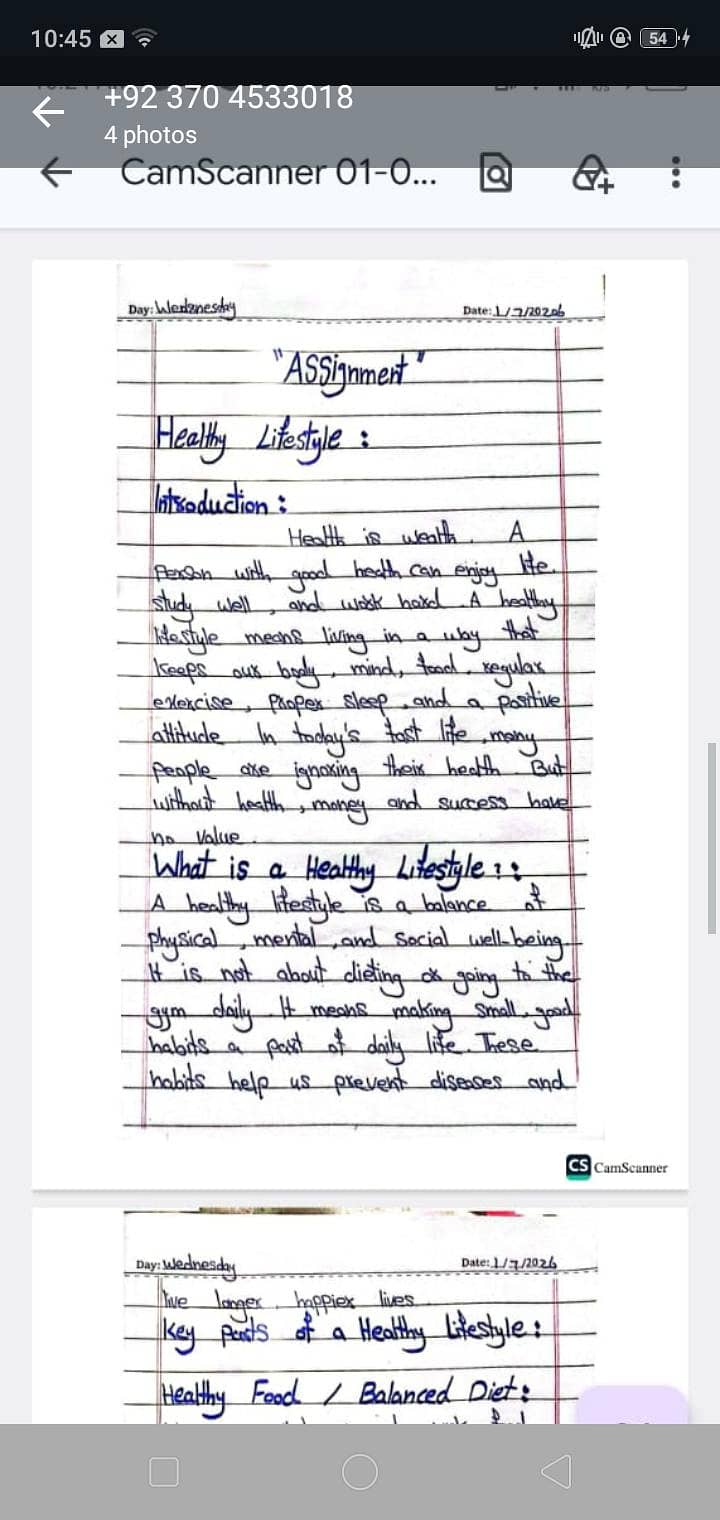 professional handwriting service assignment,forms, notes , 0