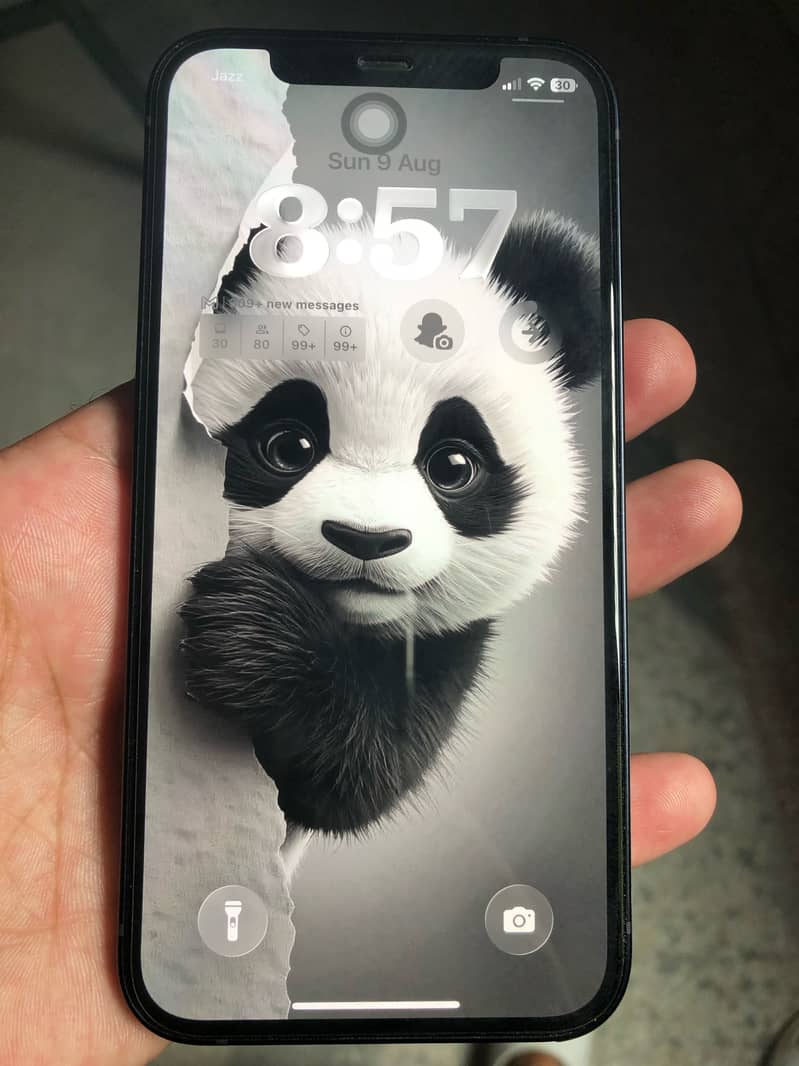 Apple iPhone 12 1