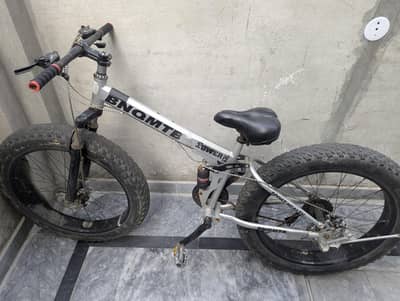 fat bicycle