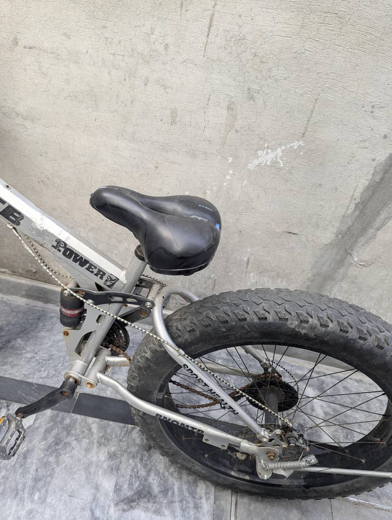 fat bicycle 1