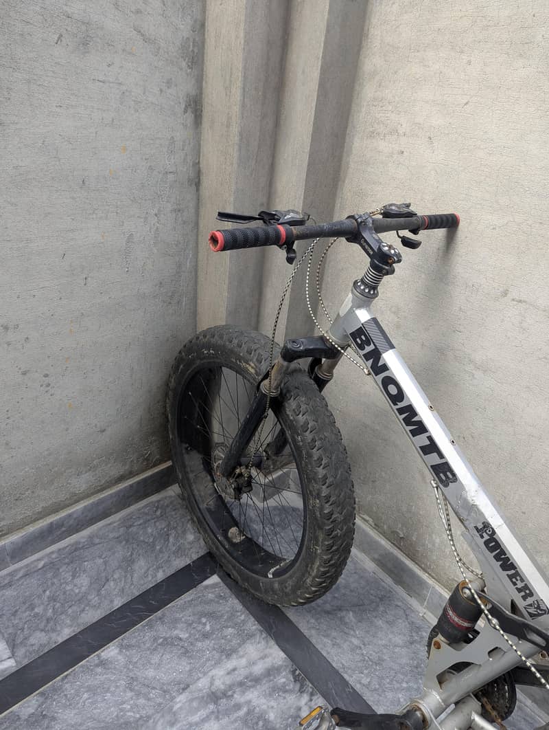 fat bicycle 2