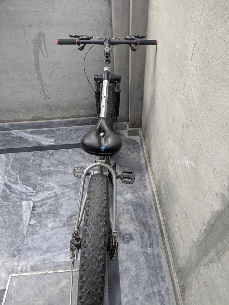 fat bicycle 3