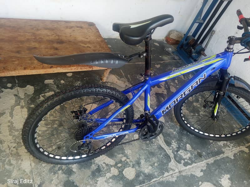 Morgan cycle 1