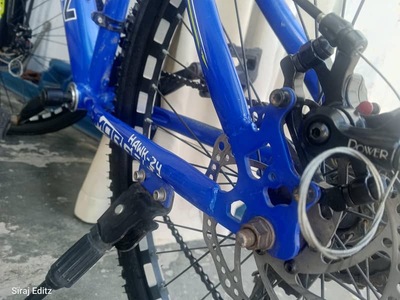 Morgan cycle 8