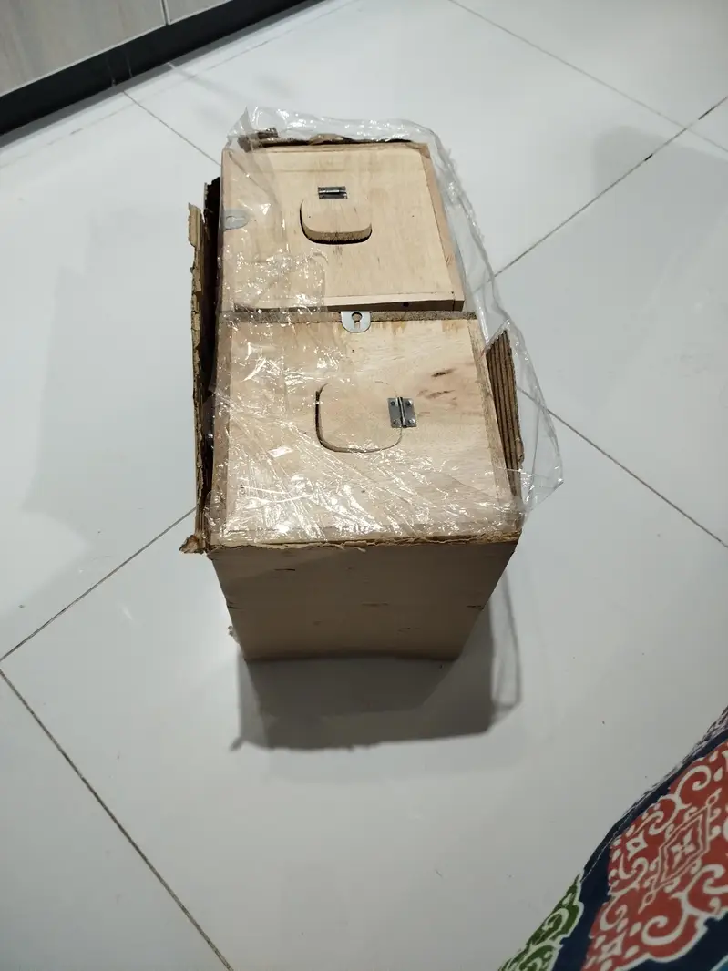 two pair lovebirds with breading box for sale — photo 5