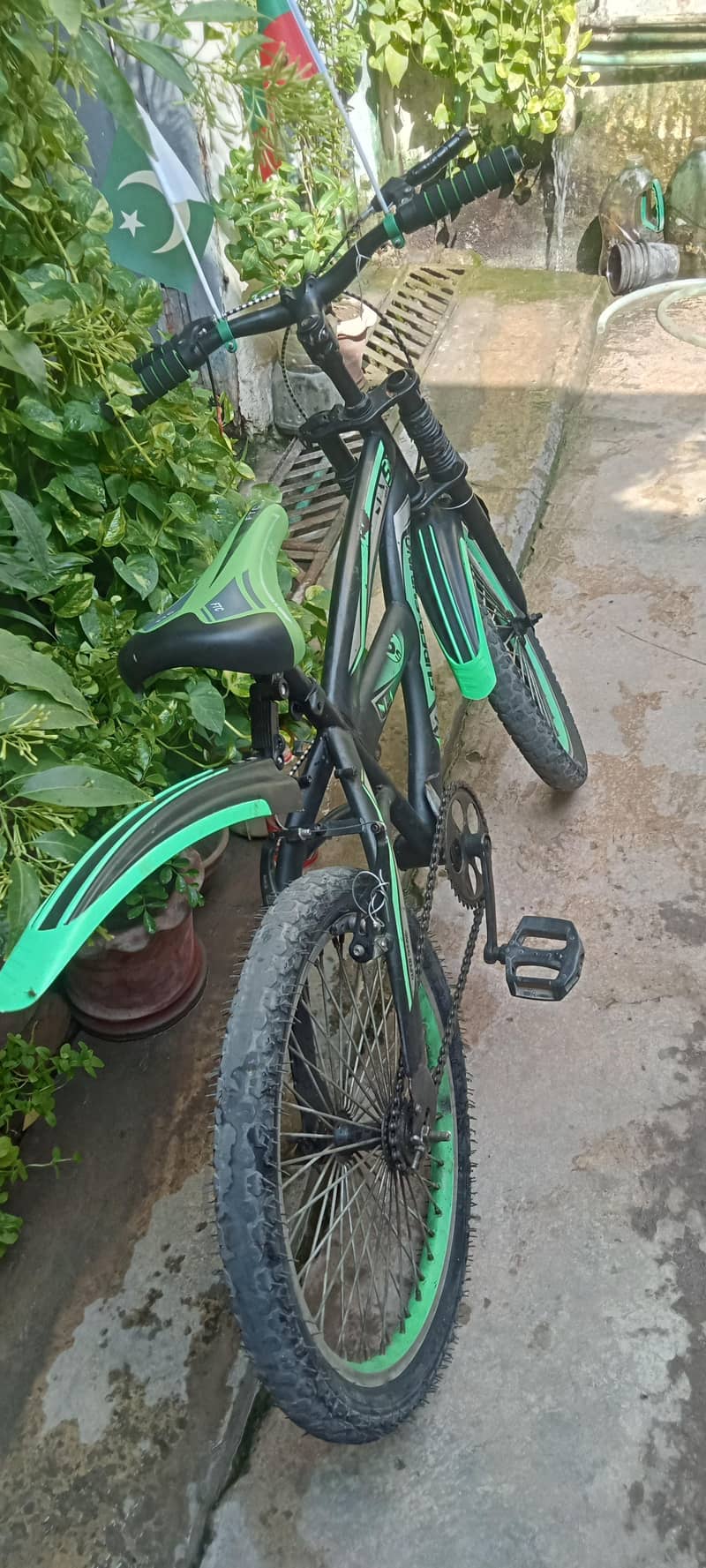 imported bicycle 1