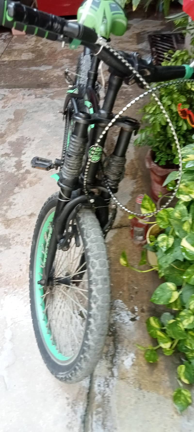 imported bicycle 2