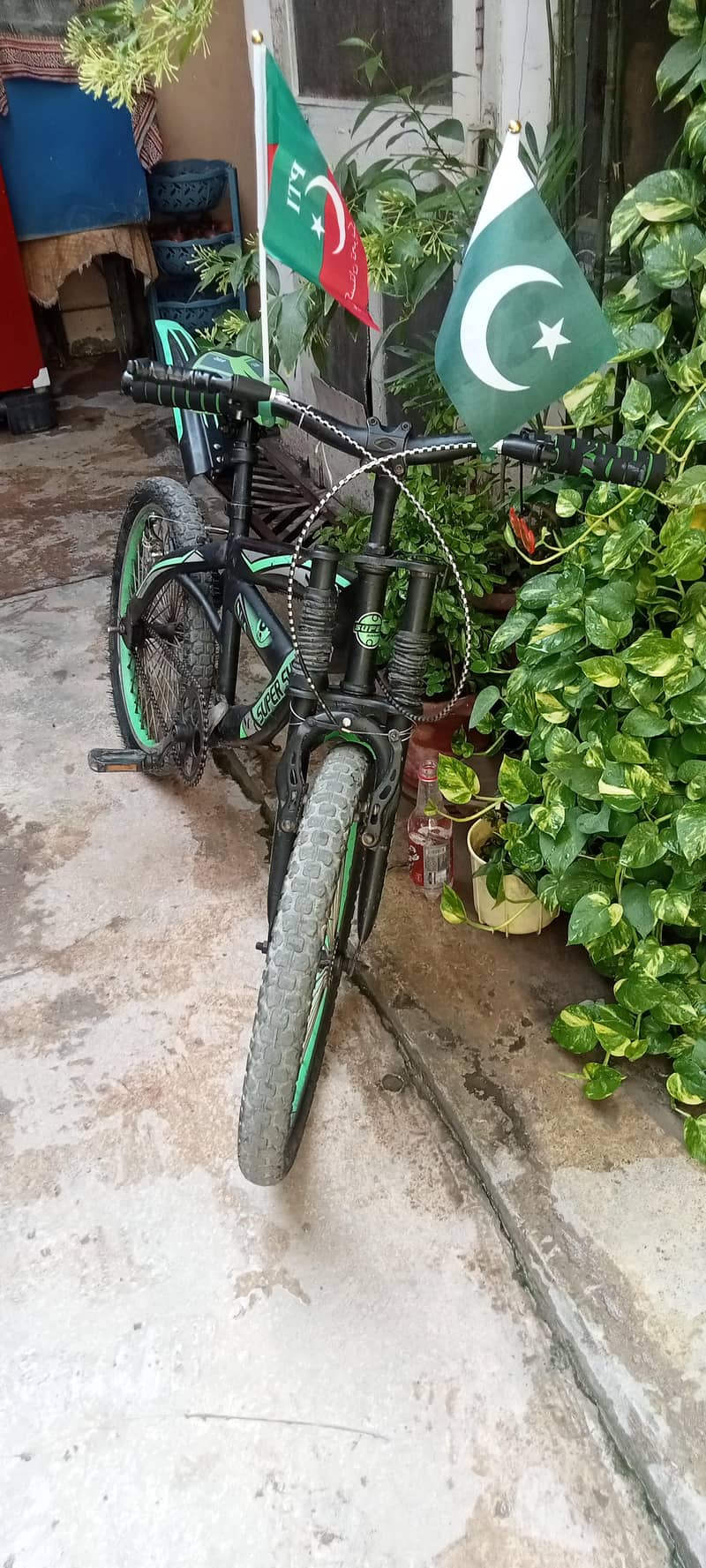 imported bicycle 3