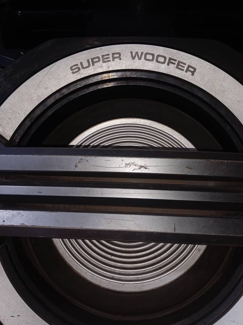Panasonic 10 inch subwoofer 2