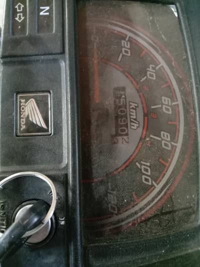Honda CD 70 For 2024/2025