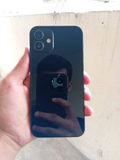 Apple iPhone 12