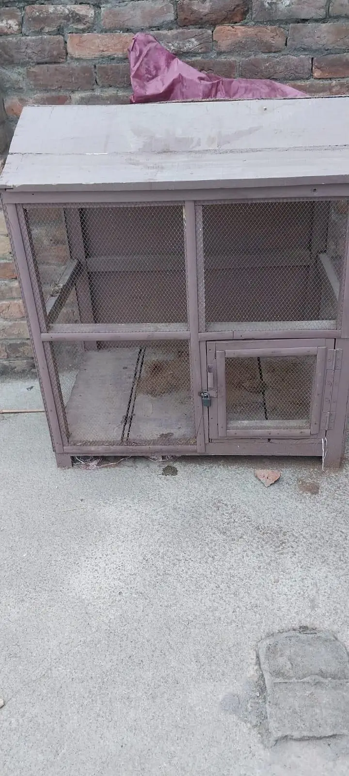 pinjra Brady frokht — photo 2
