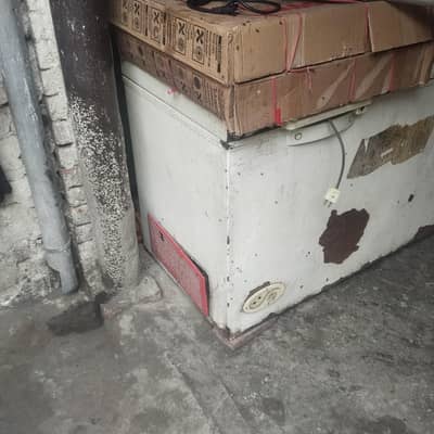 deep freezer fries counter & shawarma counter