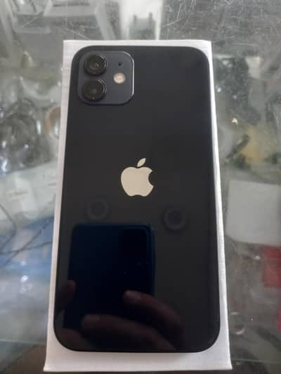 Apple iPhone 12