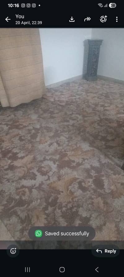 Full lounge sized carpet