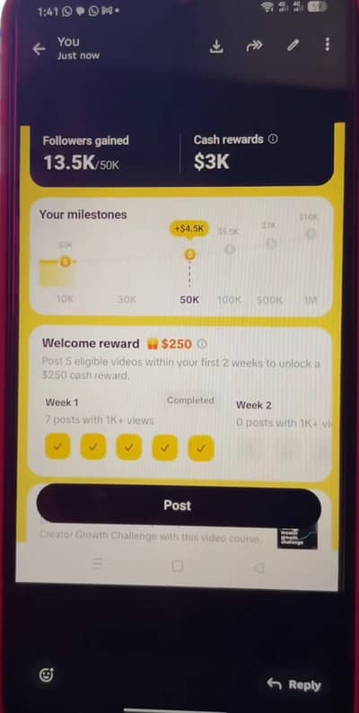 TikTok Earning